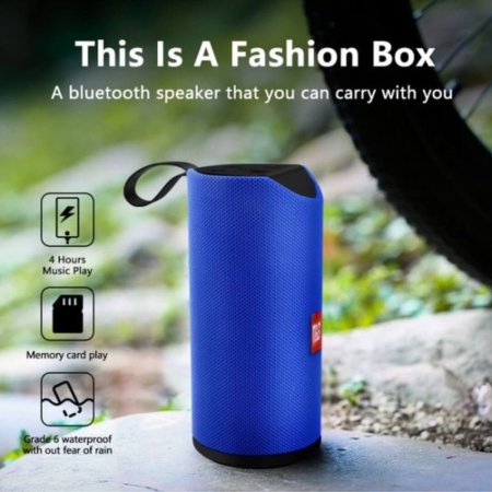 Portable Wireless Speaker 113