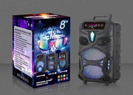 Ndr-P55 8 Inch Speaker