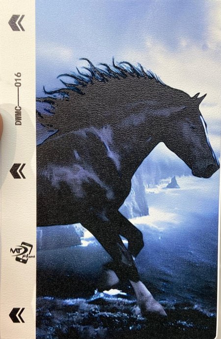 Leather back sticker 9