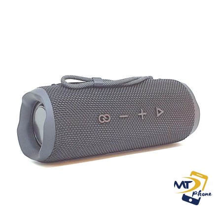 FLIP6 PORTABLE WIRLESS SPEAKER - Silver