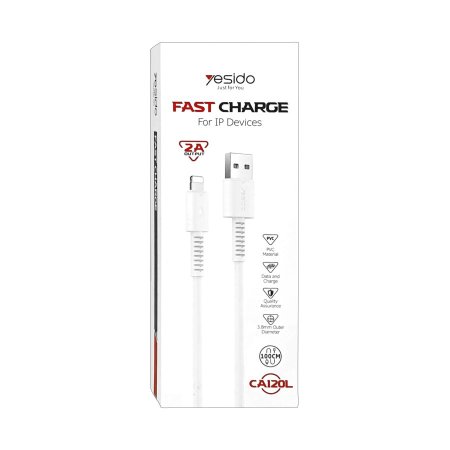 FAST CHARGE 2A OUTPUT 100CM